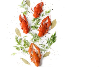 Deniz ürünleri tabağı, kırmızı beyaz arka planı, üstten görünüm fotoğraf kerevit haşlanmış. Aperatifler tür bira için.