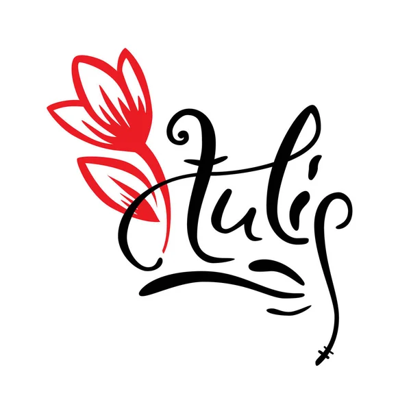 Old style lettering, Calligraphy. Word Tulip with hand drawn red vector tulip. Logo for spa salon or flower shop — Stock Vector