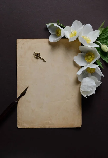 Diseño romántico con flores de anémona blanca, y tarjeta emty para el texto sobre un fondo negro . —  Fotos de Stock