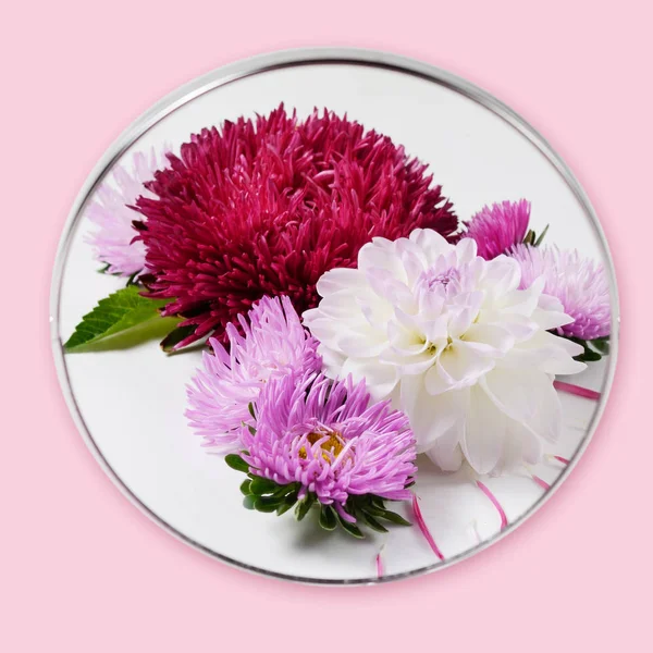 Fond créatif de fleurs d'automne. Dahlias et chrysanthèmes reflétés dans un miroir rond . — Photo