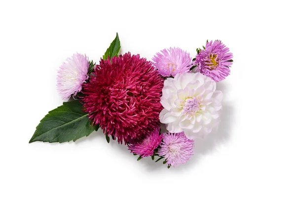 Kreativ bakgrund med krysantemum och dahlia blommor. Blommig gräns flat lekmanna koncept — Stockfoto