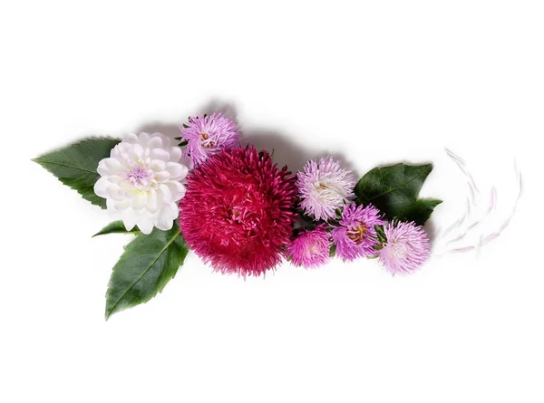 Twórczy tle z kwiatów chryzantemy i dalii. Kwiatowy granicy płasko świeckich koncepcji — Zdjęcie stockowe