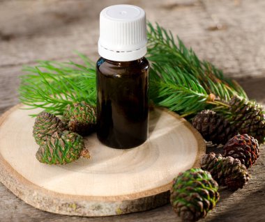 Cam şişedeki temel yağ, genç ladin dalları ve ahşap arka planda yeşil koniler..