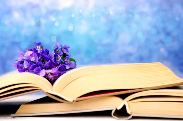 Vintage romantische achtergrond met wilde violette bloemen en oude geopende boeken tegen mooie bokeh achtergrond en kopieer ruimte voor tekst. — Stockfoto