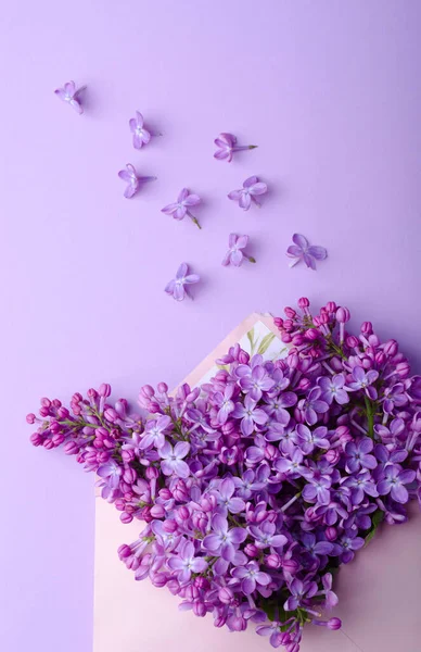 Zarftaki Leylak Çiçekleri Aynı Renkte Moda Tarzında Minimalist Çiçek Kompozisyonu — Stok fotoğraf