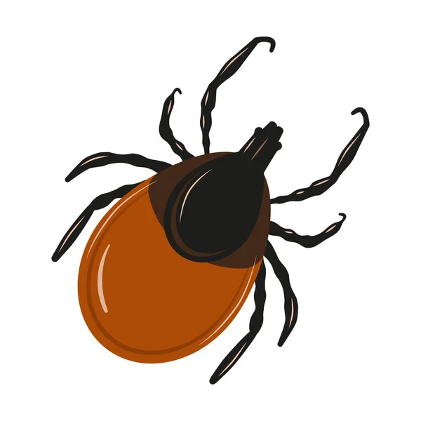 Les Insectes Acariens Parasites Tiques Encéphalite Tick Warning — Image vectorielle