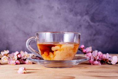 Kayısı tomurcuklanan dalların arasında sütlü bir bardak çay. İngiliz kahvaltısı için iç..