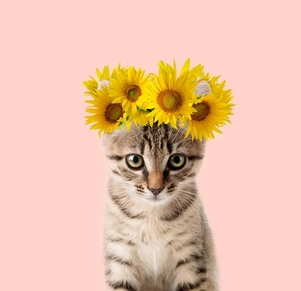 Nettes Graues Kätzchen Mit Einer Floralen Krone Aus Leuchtend Gelben — Stockfoto
