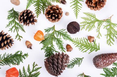 Beyaz arka planda firavun ağacı dalları, yaban mersini, çam kozalakları ve parlak kırmızı bitki örtüsü olan bir Noel deseni. Üst görünüm bileşimi
