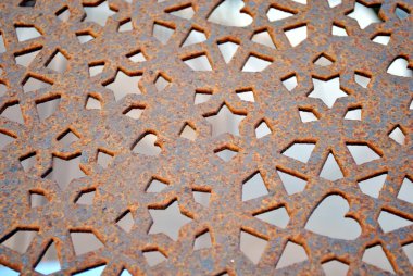 Güneşli bir günde palmiye ağacı fidanlığı