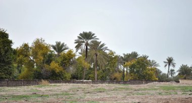 Güneşli günde Bahreyn Ulusal Kalesi, Al Bahreyn Kalesi