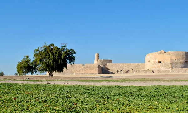 Bahrajn Narodowy Zamek Słoneczny Dzień Qal Bahrajn Fort — Zdjęcie stockowe