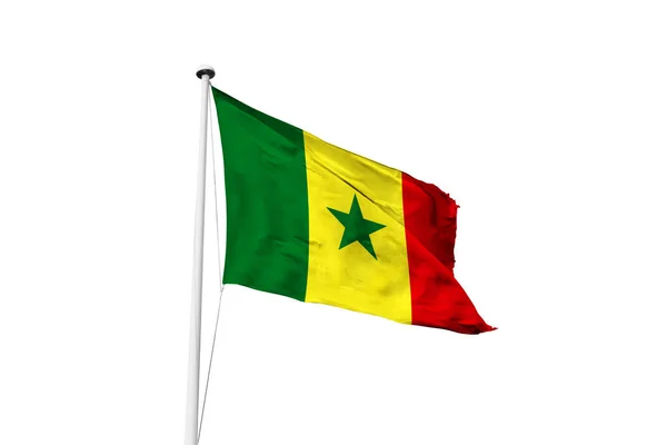 Σενεγάλη Σημαία Κυματίζει Λευκό Φόντο Απόδοση — Φωτογραφία Αρχείου