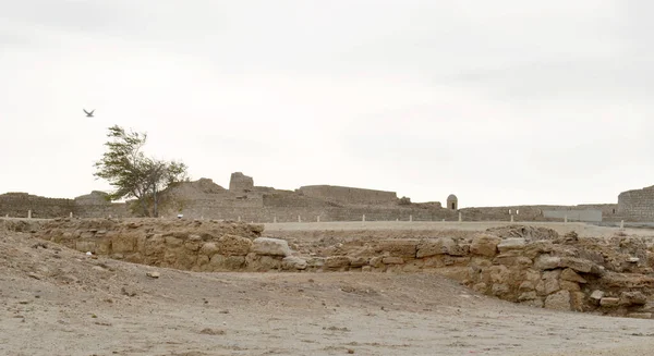 Bahrain National Castle Solig Dag Qal Bahrain Fort — Stockfoto