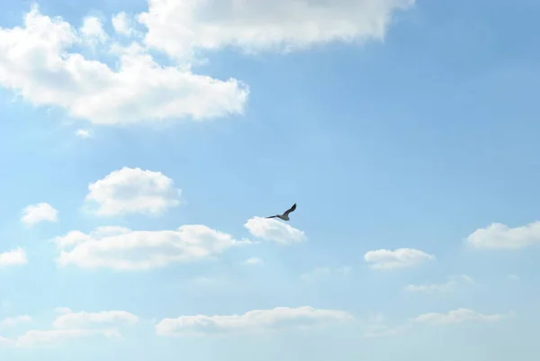 Cloudy Nice Sky Midday Sun Bright — Stock Photo, Image