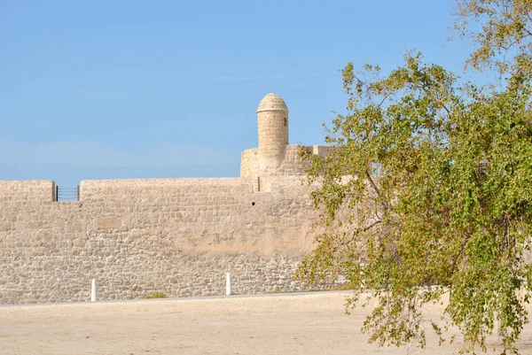 Εθνικό Κάστρο Και Δέντρο Μπαχρέιν Την Ηλιόλουστη Μέρα Qal Bahrain — Φωτογραφία Αρχείου