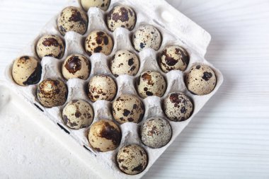 Paskalya bıldırcın yumurtaları parlak arka planda.