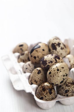 Paskalya bıldırcın yumurtaları parlak arka planda.