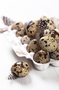 Paskalya bıldırcın yumurtaları parlak arka planda.