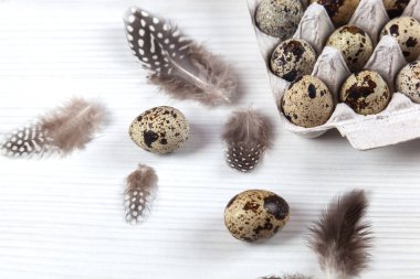 Paskalya bıldırcın yumurtaları parlak arka planda.