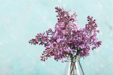 Minimum kompozisyon, arka planda cam şişedeki leylak çiçekleri. Çiçekli bahar dokusu