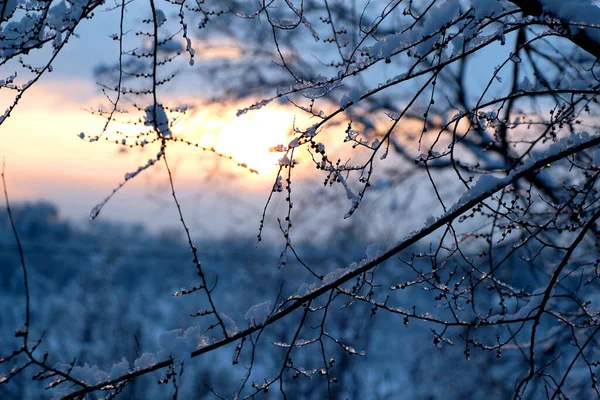 Calming Sunset Reflected Frozen Drops Stock Image