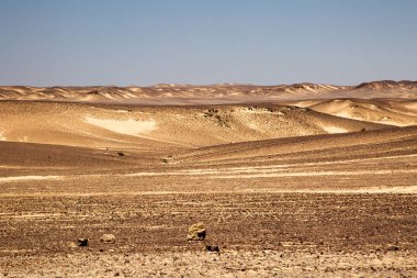 iskelet kenarı, Namibya, beyaz kum tepeleri gerçeküstü Panoraması