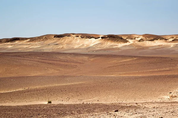 iskelet kenarı, Namibya, beyaz kum tepeleri gerçeküstü Panoraması