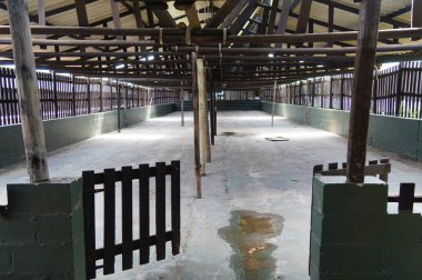 Boş ahır Devekuşu çiftliği, Cape Town, Güney Afrika.