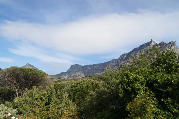 Beautiful South Africa 's Cape Town' s, Mountain and Sea views . — стоковое фото