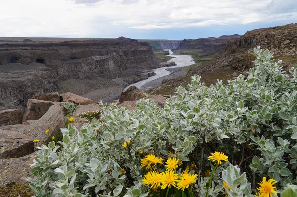 Dettifoss en verano, noreste de Islandia . — Foto de Stock