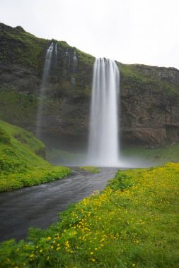 Seljalandsfoss, en güzel şelaleler, adanın güneyinde