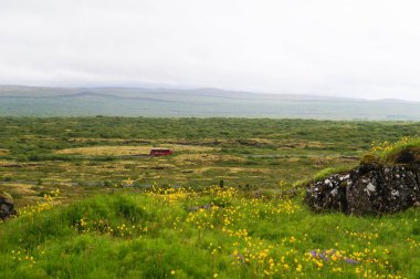 Thingvellir Ulusal Parkı Yazın, İzlanda.