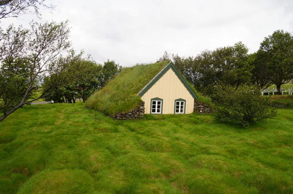 Hofskirkja kilisedir bir güzel çim Kilisesi, İzlanda. 