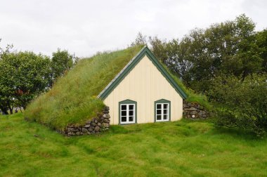 Güney-Doğu Icela güzel çim kilisede Hofskirkja kilisesidir