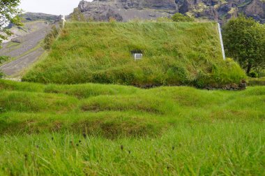 Güney-Doğu Icela güzel çim kilisede Hofskirkja kilisesidir
