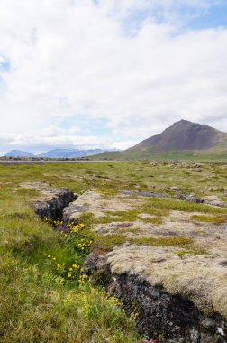 Güzel landscpae Budir, İzlanda