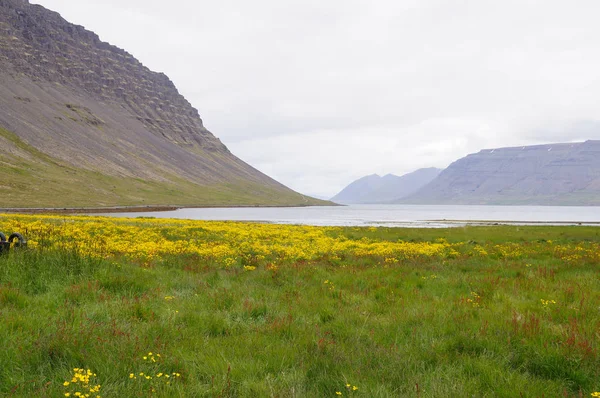 Hermosa vista en verano, Islandia — Foto de Stock