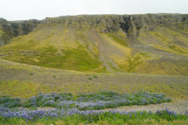 Hermosa vista en verano, Islandia — Foto de Stock