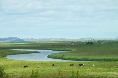 Güzel görünümü'nde yaz, İzlanda