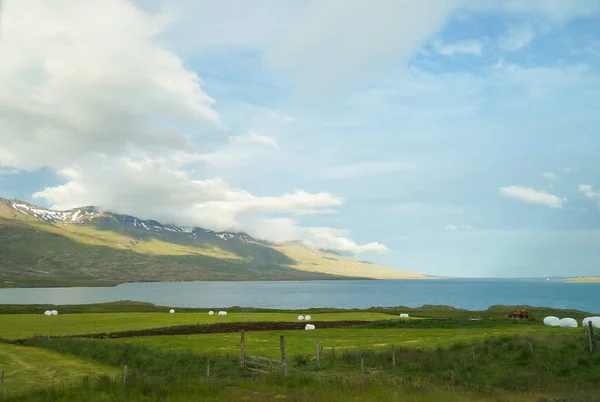 Beautiful view in summer,Iceland — Stock Photo, Image