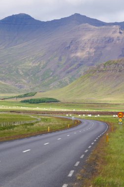 Güzel görünümü'nde yaz, İzlanda.