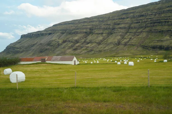 Vacker utsikt på sommaren, Island — Stockfoto