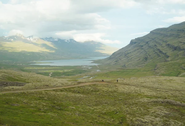 Belle vue en été, Islande — Photo