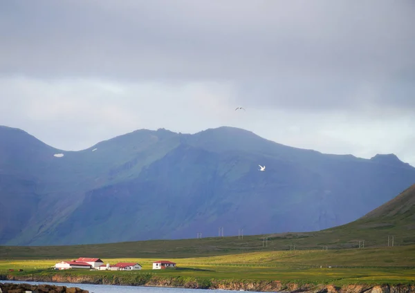 Piękny widok, w lecie, Islandia. — Zdjęcie stockowe