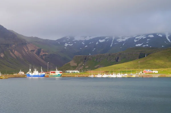 美丽的景色，在夏天，冰岛. — 图库照片