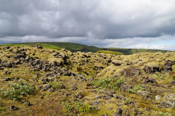 Lava fält täckt med grön mossa, Island. — Stockfoto