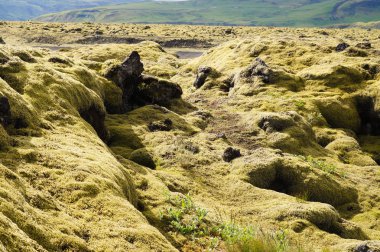 Yeşil yosun kaplı güzel lav alanı