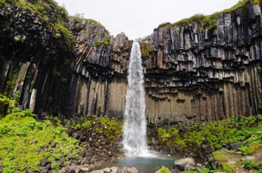 Svartifoss şelale çevrili tarafından karanlık lav sütunları, İzlanda