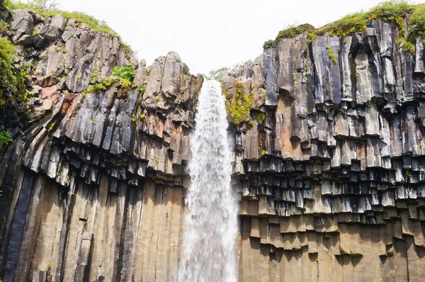 Cascada de Svartifoss rodeada de columnas de lava oscura, Islandia —  Fotos de Stock